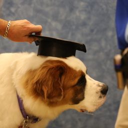 photograph by PeterW